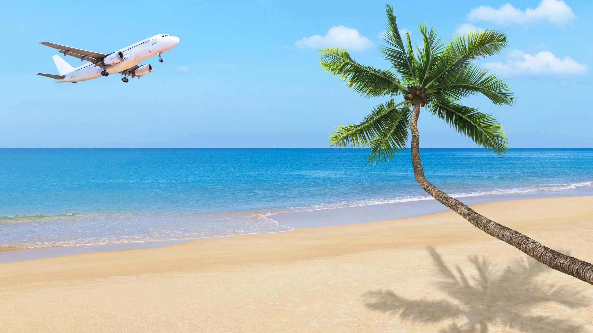 A plane flying over a Punta Cana beach with a palm tree